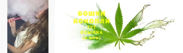 ПСИЛОЦИБИНОВЫЕ ГРИБЫ Заволжск