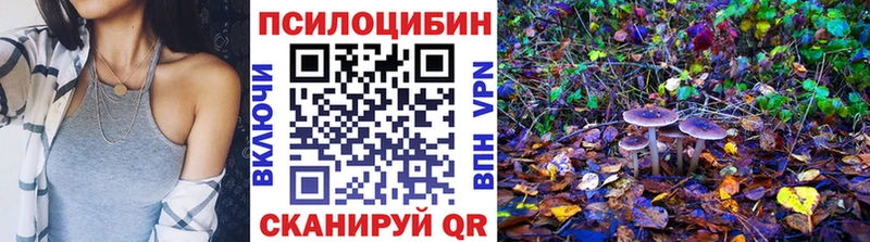 где продают darknet формула Псилоцибиновые грибы Cubensis Судогда